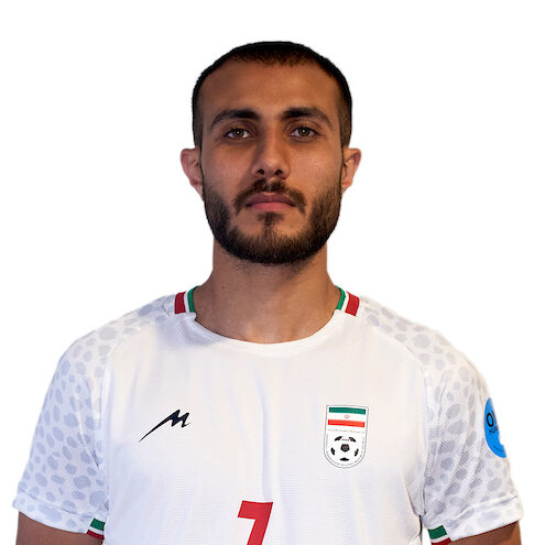 Ali.Mirshekari