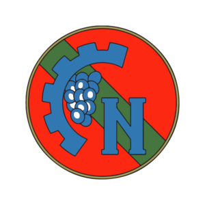 BSC Nistru Chisinau