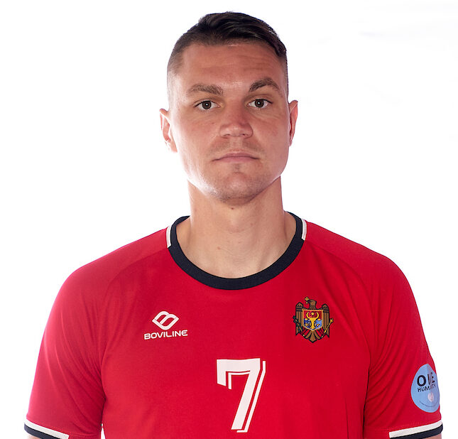 Borovschi