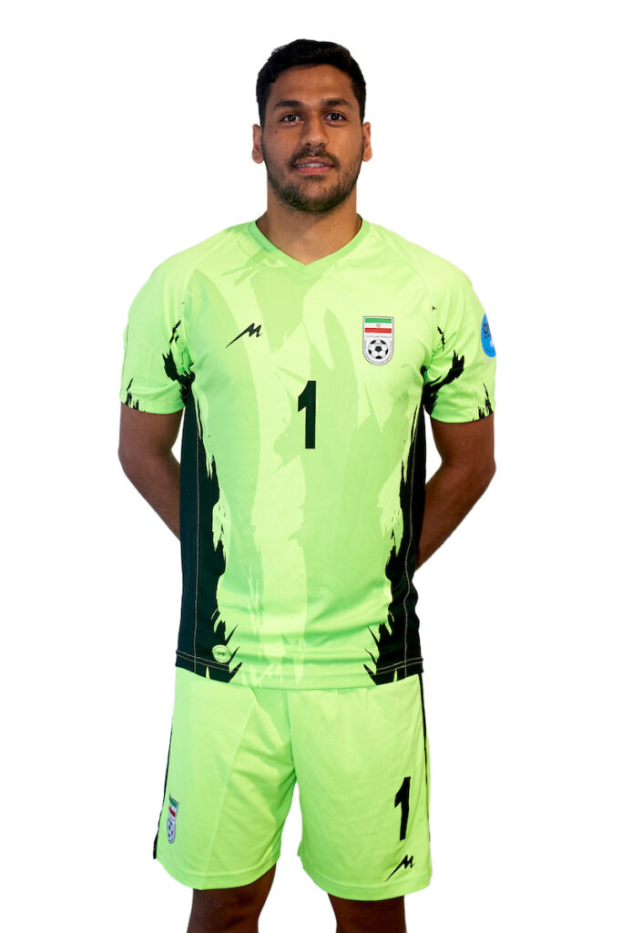 Seyedmahdi  Mirjalili