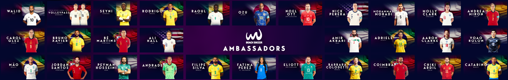 ambassadors-programme