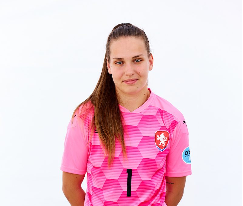 Mikinova